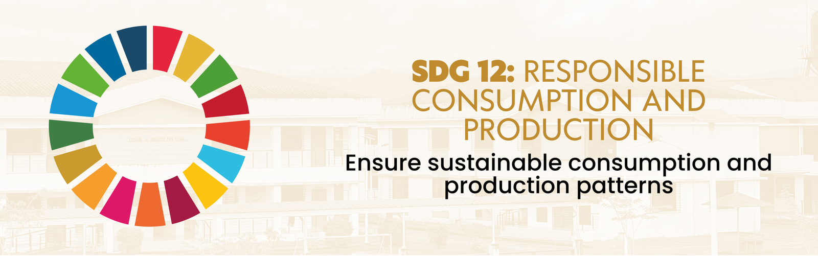 SDG 12 Logo